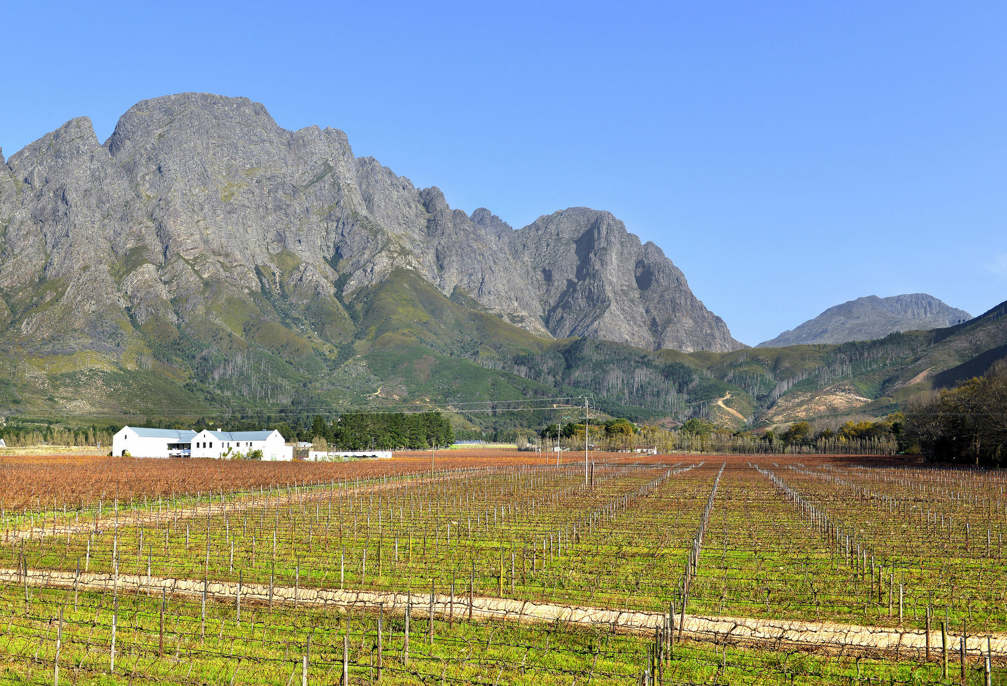 Holden Manz Country House Franschhoek Exterior photo